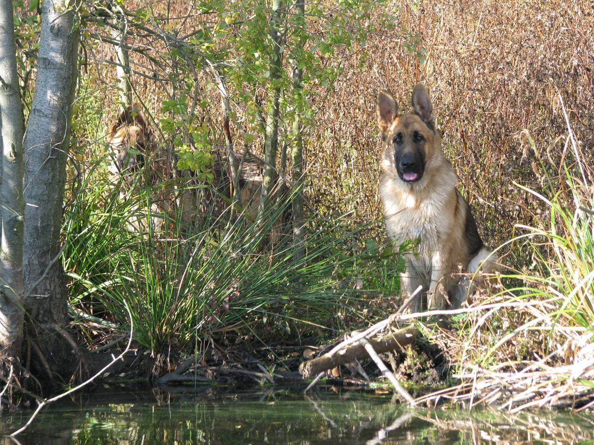 Rezydencja Nad Jeziorem Pestkownica Esterno foto