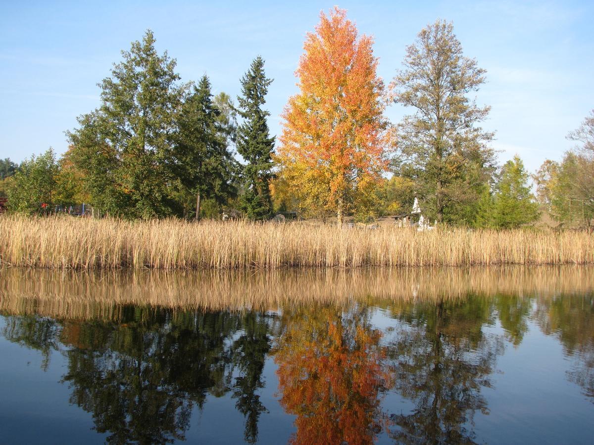 Rezydencja Nad Jeziorem Pestkownica Esterno foto