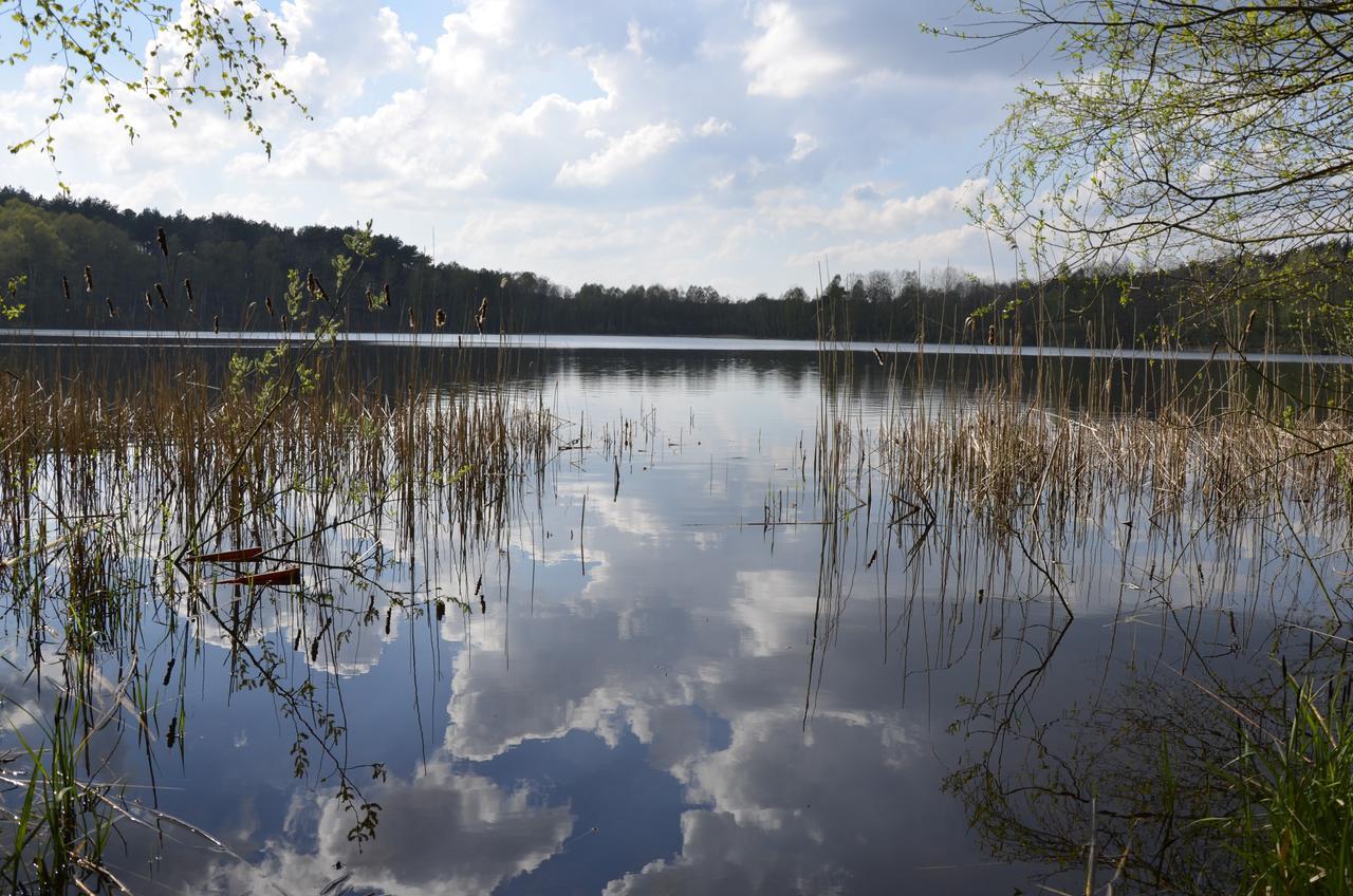 Rezydencja Nad Jeziorem Pestkownica Esterno foto