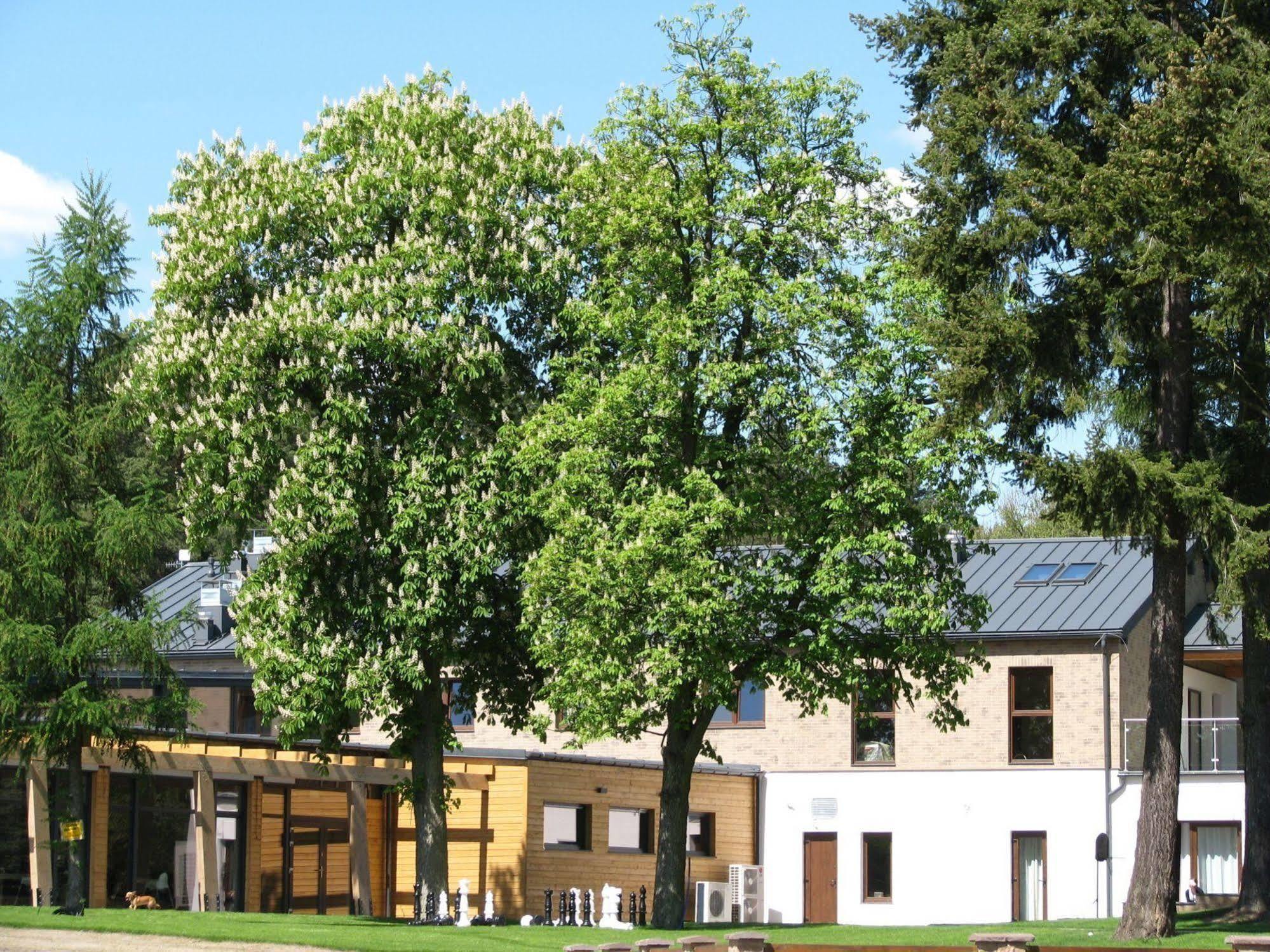 Rezydencja Nad Jeziorem Pestkownica Esterno foto