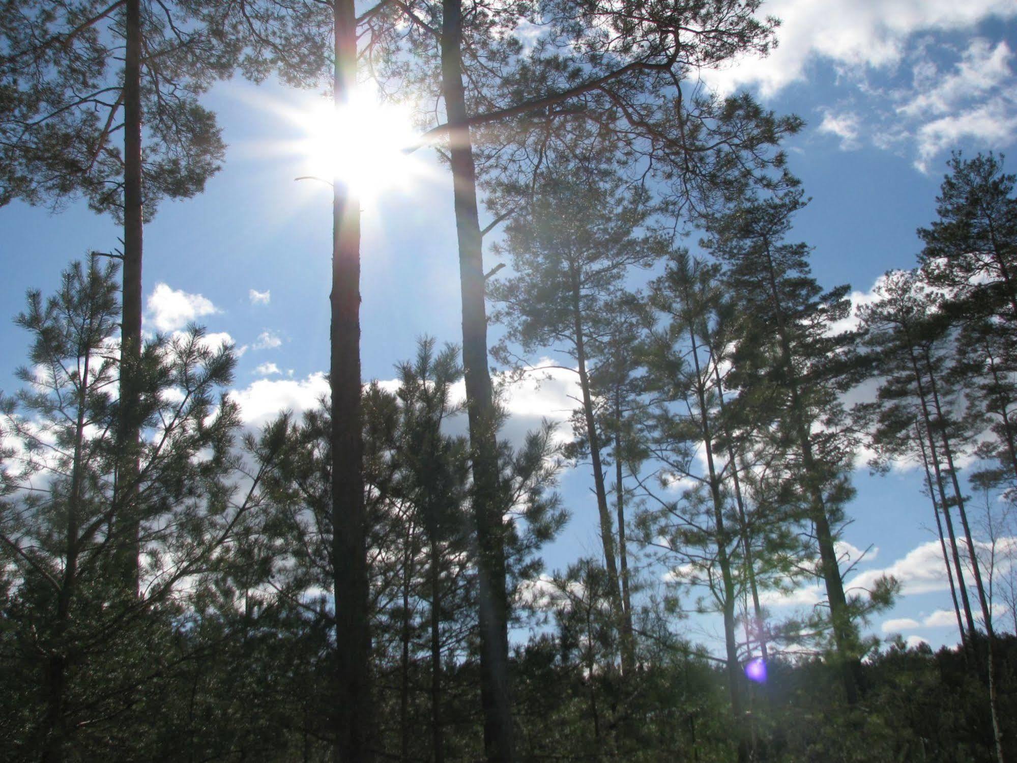 Rezydencja Nad Jeziorem Pestkownica Esterno foto