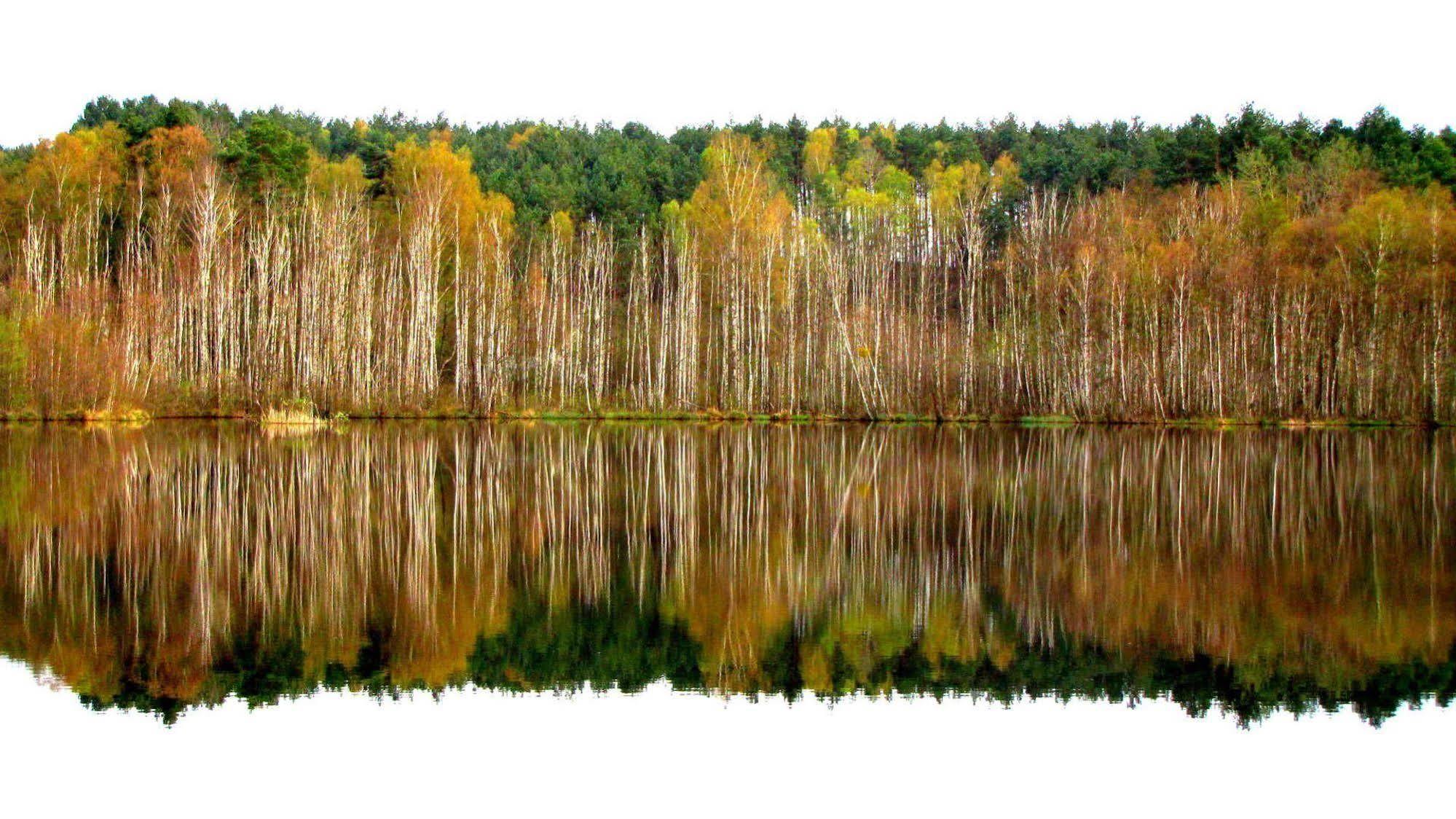 Rezydencja Nad Jeziorem Pestkownica Esterno foto
